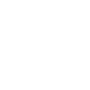 noodles
